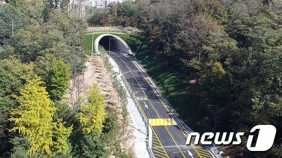1일 개통한 노원구 월계로~도봉구 창동길 도로(노원구 제공) 2016.11.1ⓒ News1