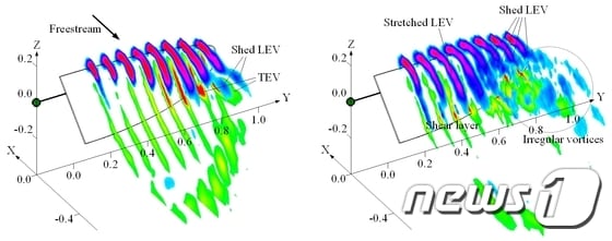 새롭게 규명한 날개 위 소용돌이의 구조ⓒ News1