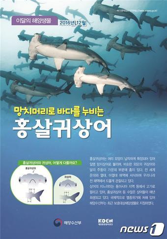 자료=해양수산부ⓒ News1