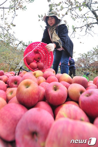 뉴스1 자료 ⓒ News1 최창호 기자