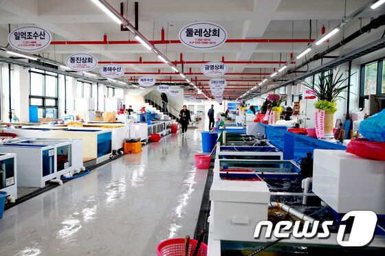 7일 준공된 울산 동구 방어진 슬도활어직판장. ⓒ News1