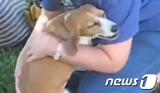 주인에게 안겨 구슬프게 우는 개. (유튜브 영상 캡처) ⓒ News1