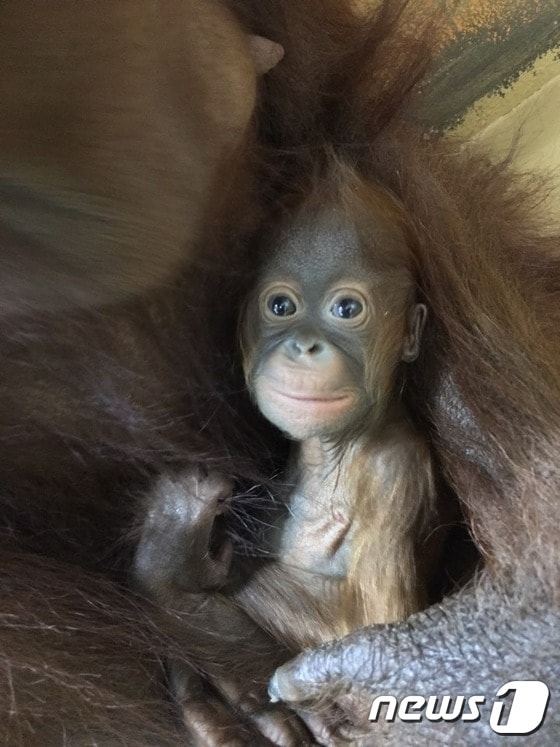 사진제공=테마동물원쥬쥬 ⓒ News1
