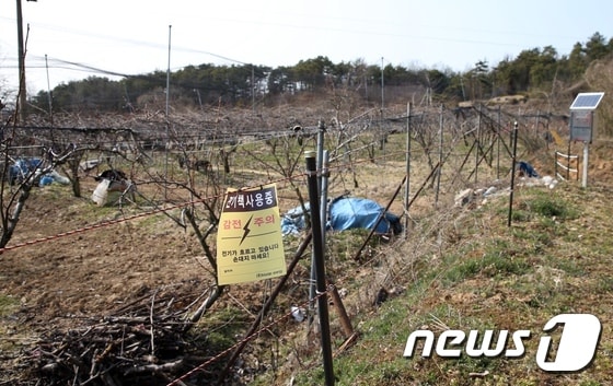 유해야생동물 피해 예방을 위해 농가에 설치된 전기울타리/(사진은 기사 내용과 무관함)  사진제공=완주군 ⓒ 뉴스1 박효익 기자