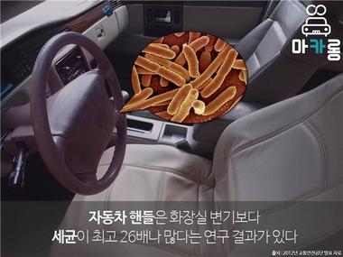 2012년 교통안전공단에서 발표한 자료에 따르면 자동차 핸들은 화장실 변기보다 세균이 최고 26배 많다. ⓒ News1