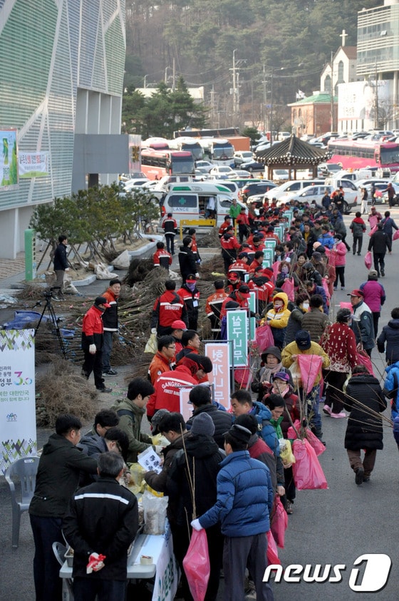 동부산림청, 나무 나눠주기 행사(뉴스1 DB) ⓒ News1