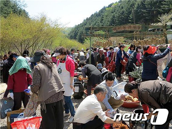 축제의 모습.(홍천군청 제공)2016.4.22/뉴스1 ⓒ News1 박태순 인턴기자