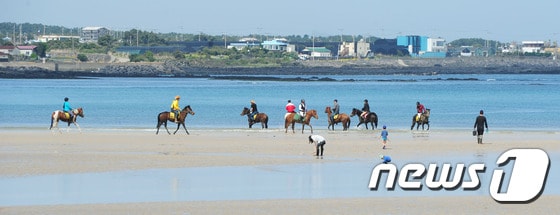 자료사진.ⓒ News1 