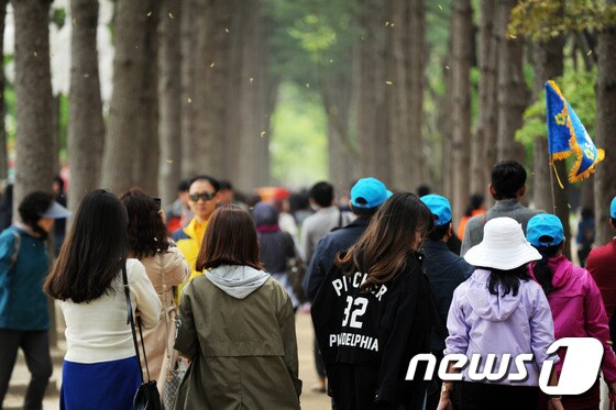 강원 춘천시 남이섬.(자료사진)ⓒ News1 DB