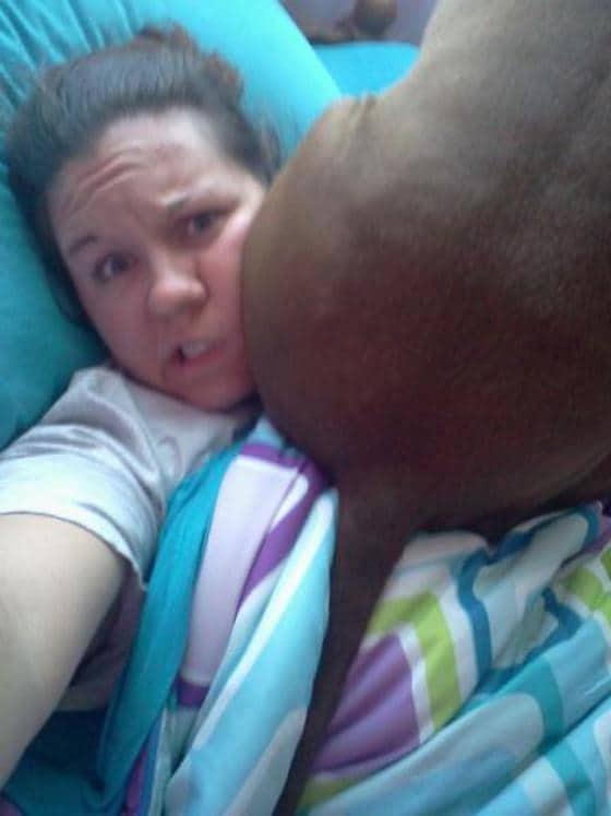 미국 동물전문매체 도도는 12일(현지시간) 반려견이 주인에게 엉덩이를 들이대는 이유를 소개했다.(사진 도도 관련기사 캡처)ⓒ News1