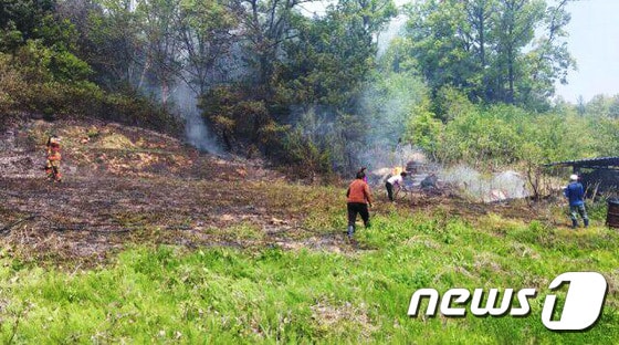 논두렁에서 쓰레기를 소각하다가 불이 인근 산으로 옮겨 붙었다./뉴스1 ⓒ News1