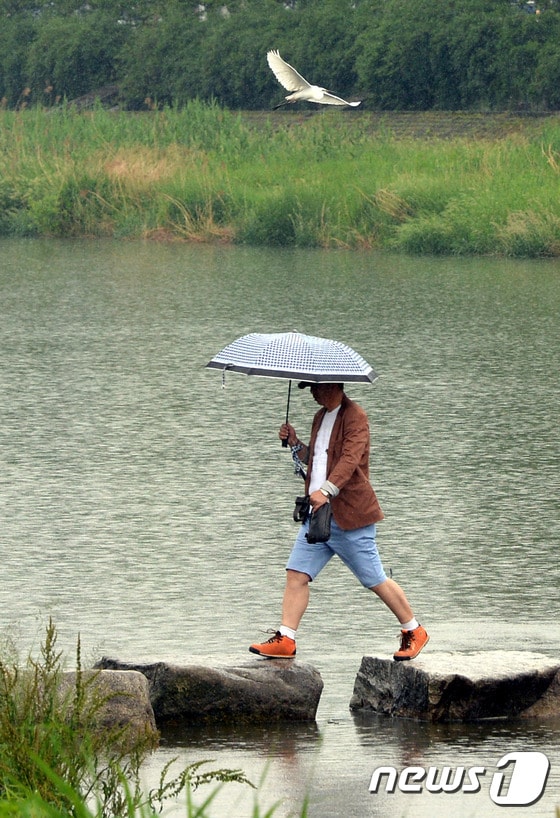 우산 쓴 행인. (재판매 및 DB금지)/뉴스1