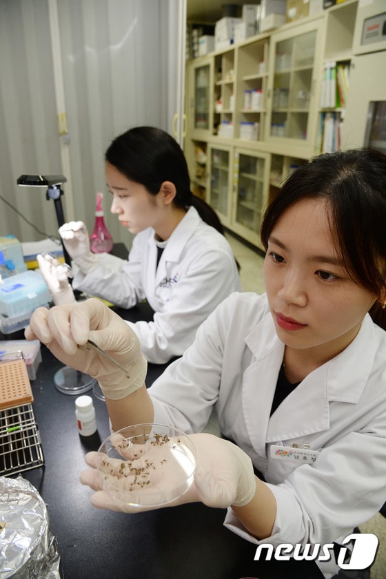 도 보건환경연구원 내 실험실 검사 진행 모습./뉴스1