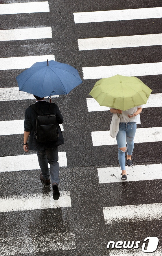 기사 이해를 돕기 위한 비 내리는 횡단보도 자료 사진으로 기사 내용과 직접 관련 없음. ⓒ News1