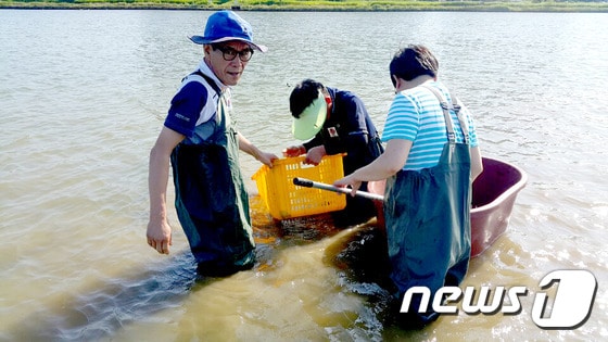 울산시는 29~31일 사흘간 태화강 하류 재첩잡기 체험행사를 개최한다.ⓒ News1