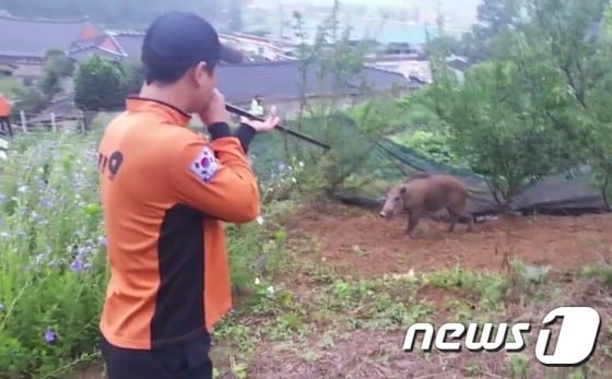 뉴스1 ⓒ News1 박아론 기자