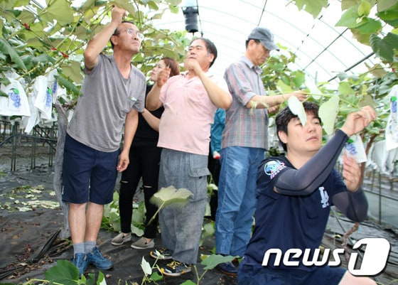 강원 영월군 김삿갓면 예밀리 팜스테이. ⓒ News1