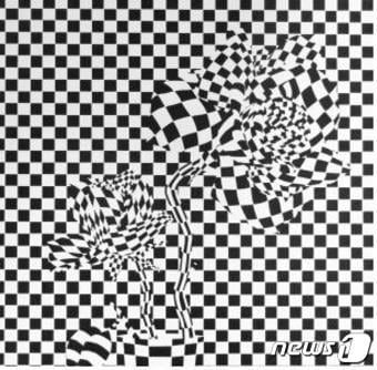 박준석 작가의 옵아트 작품(대담미술관 제공)2016.7.27/뉴스1ⓒ News1