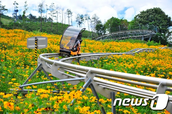 평창 알펜시아 롤러코스터(알펜시아 제공)ⓒ News1 신효재 기자