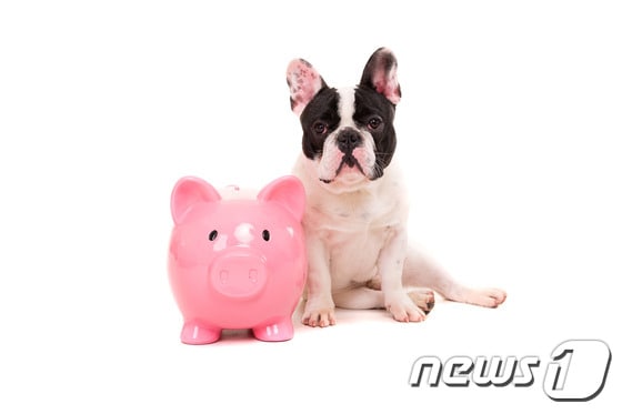 (사진 이미지투데이) ⓒ News1