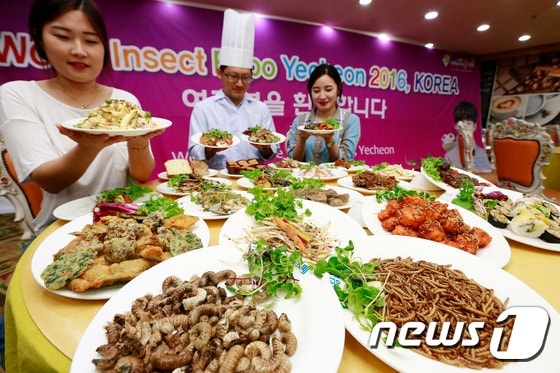 경북도 "농업, 미래 신산업으로 전환"...그린바이오 육성 본격화 - 뉴스 썸네일 이미지