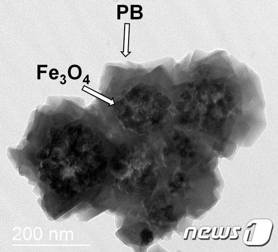 자성나노입자응집체 표면에 육면체 구조의 프러시안 블루(PB)가 코팅된 모습ⓒ News1