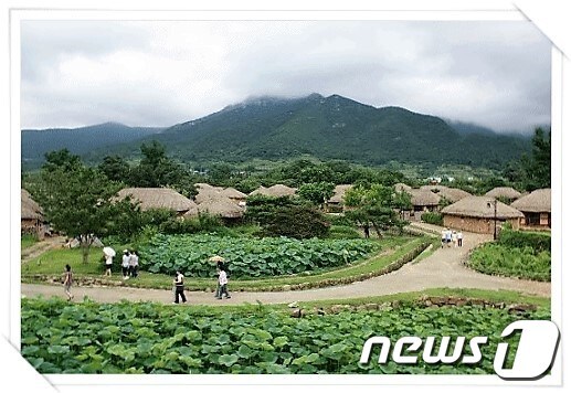 낙안 읍성 내의 연꽃길.(순천시 제공)2016.9.12/뉴스1 ⓒ News1 지정운 기자