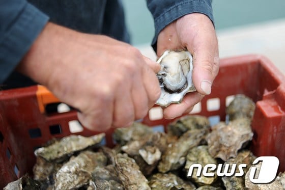 &#40;사진은 기사 내용과 무관함&#41; / 뉴스1 ⓒ News1