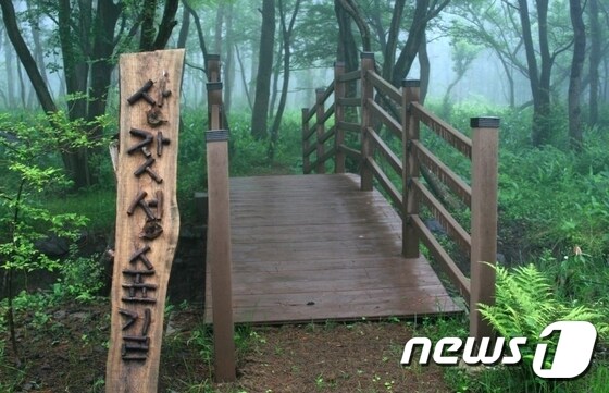 제주 붉은오름자연휴양림 상잣성숲길. ⓒ News1