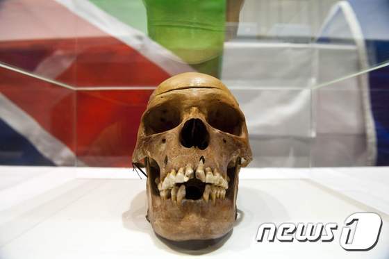 2011년 9월 공개된 독일 식민 정부에 의해 희생된 나미비아 원주민들의 두개골. ⓒ AFP=뉴스1