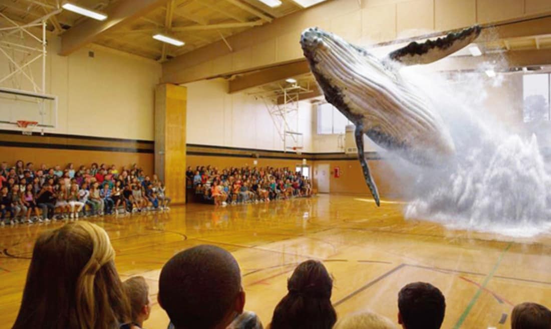 '혼합현실' 기업인 미국 매직 리프(Magic Leap)의 혼합현실 동영상 장면 ⓒ News1