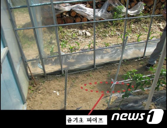 비닐하우스 부실시공 흔적. 바닥 줄기초 파이프를 지면으로부터 약 25cm 이상 매립해야 됨에도 매립하지 않아 그대로 드러난 상태.(강원지방경찰청제공) ⓒ News1 홍성우 기자