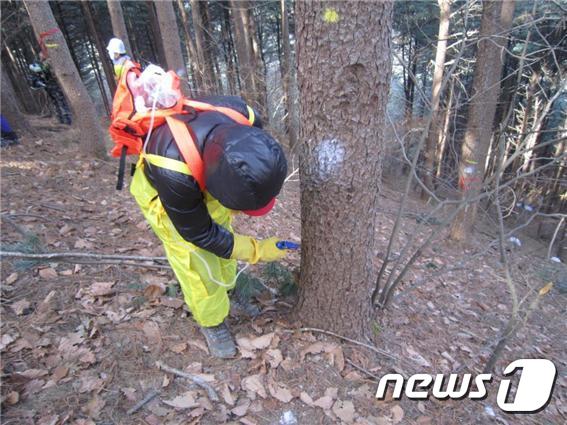 기사 이해를 돕기 위한 방제 자료 사진으로 기사 내용과 직접 관련 없음. ⓒ News1