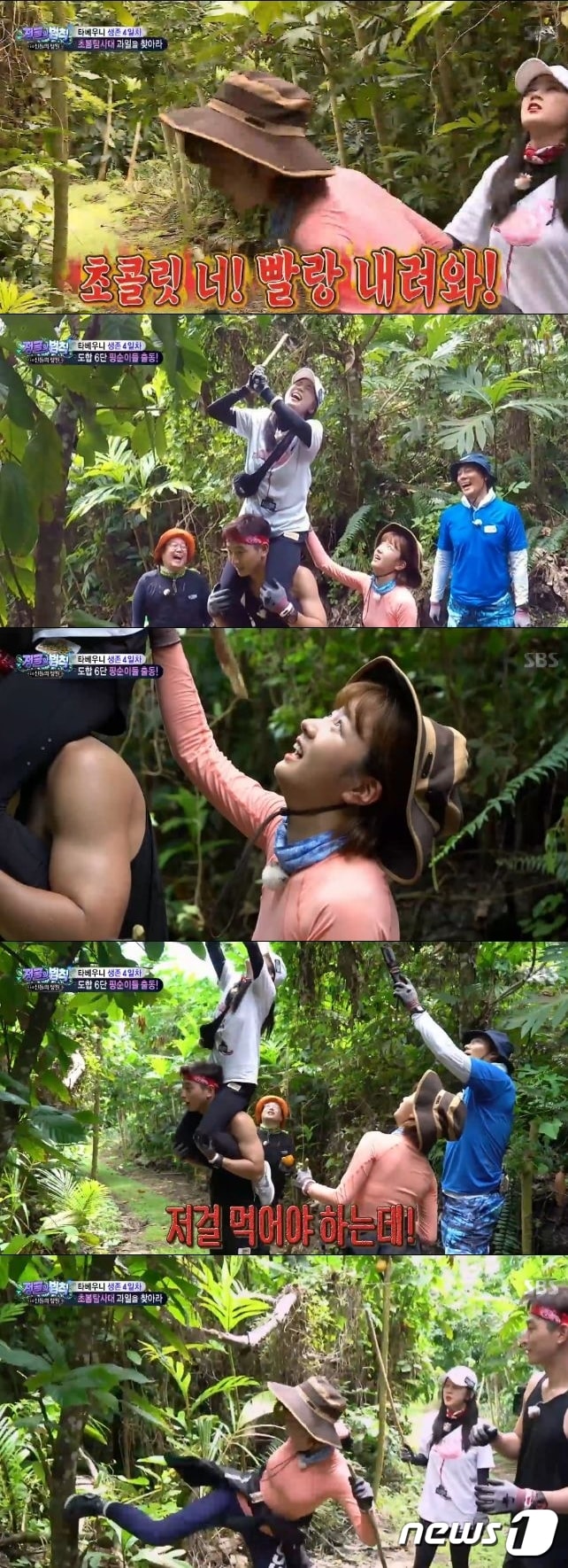 '정글의 법칙' ⓒ News1