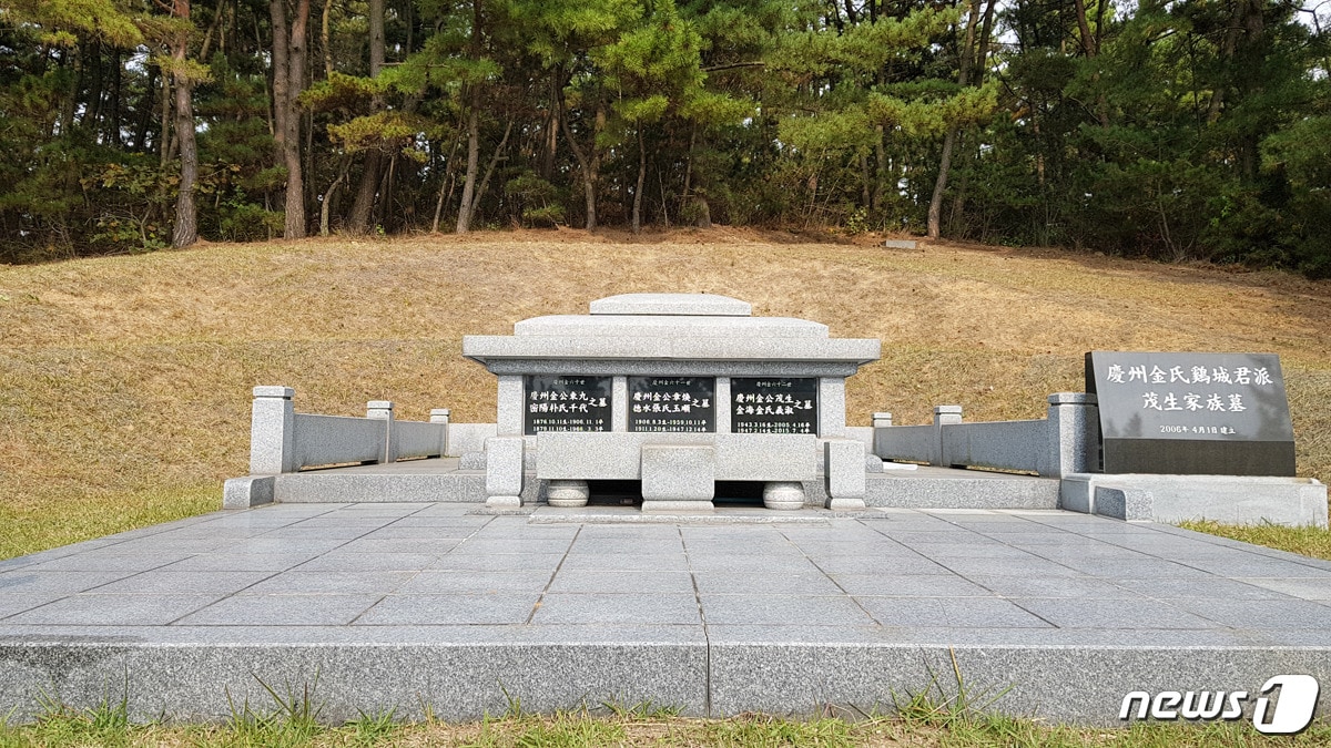 충남 서산시 대산읍 대로리 고 김무생가족 납골묘 모습ⓒ News1