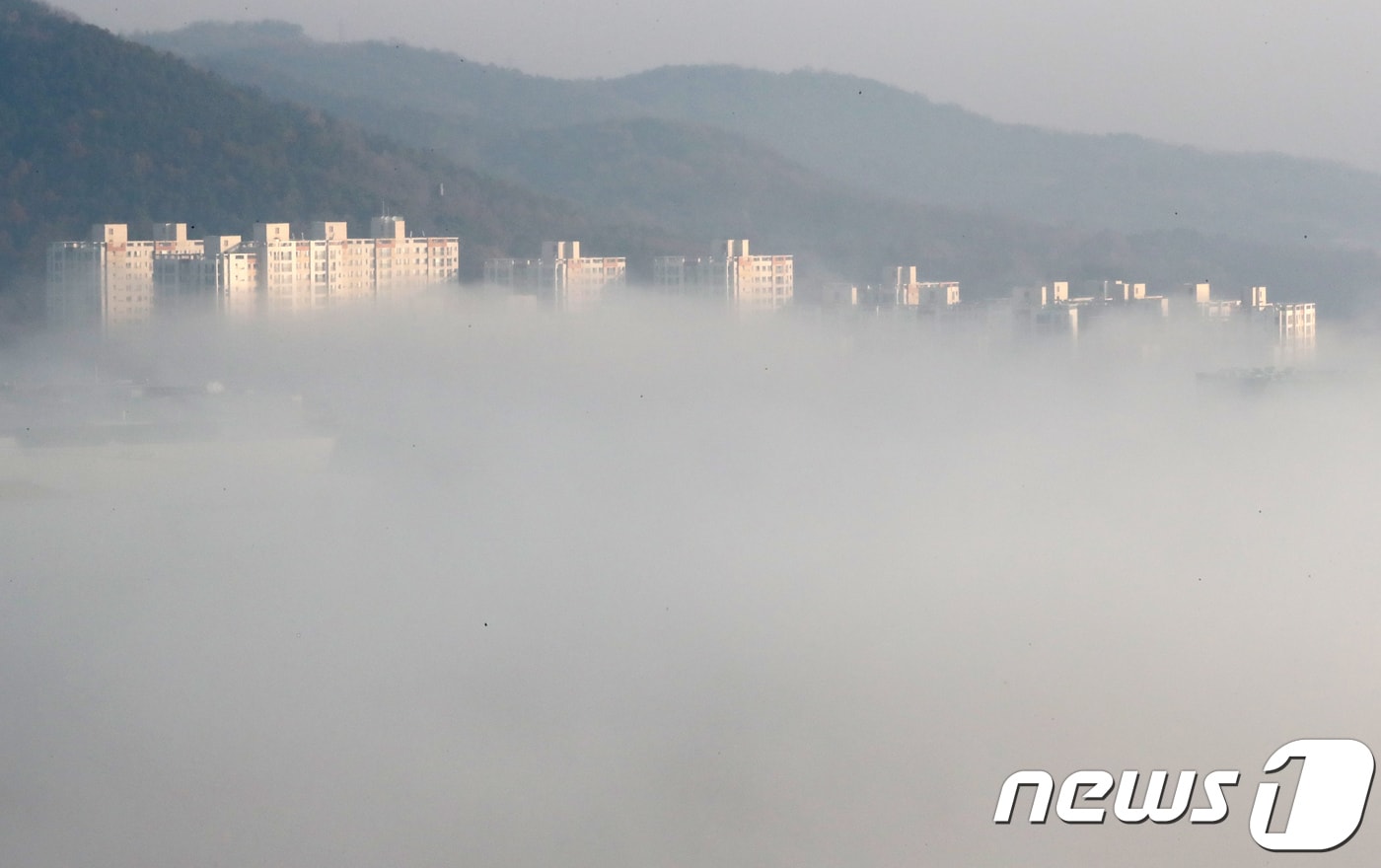 세종 어진동 정부세종청사 주변에 안개가 짙게 낀 모습. ⓒ 뉴스1 장수영 기자