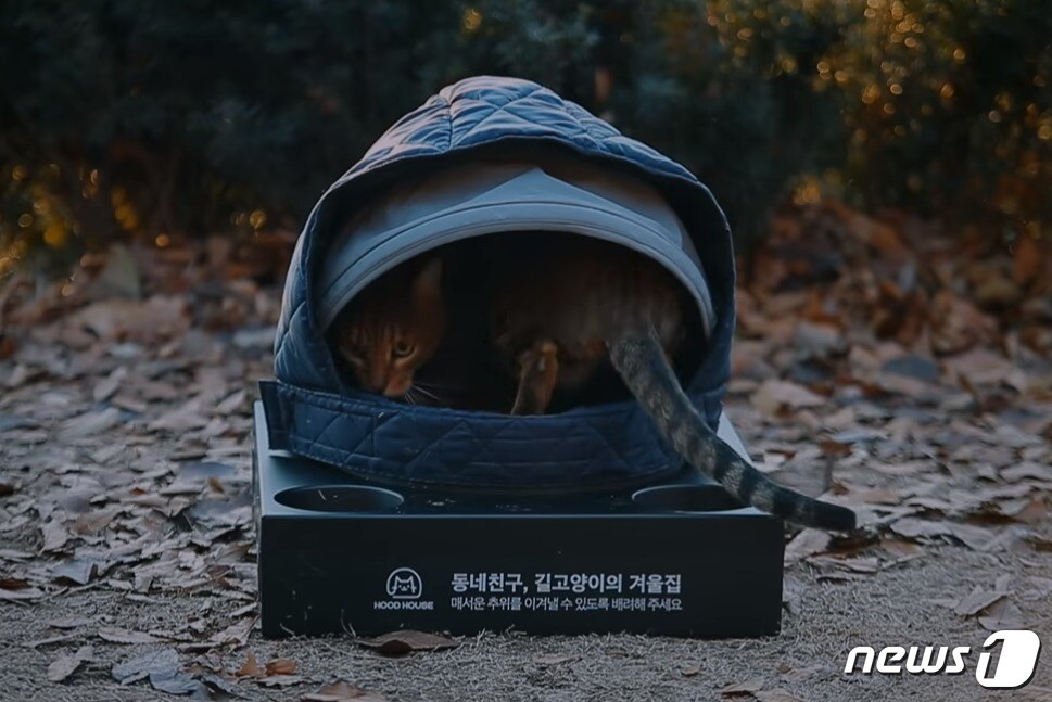 길고양이 겨울집.(사진 이마트 유튜브 캡처)ⓒ News1