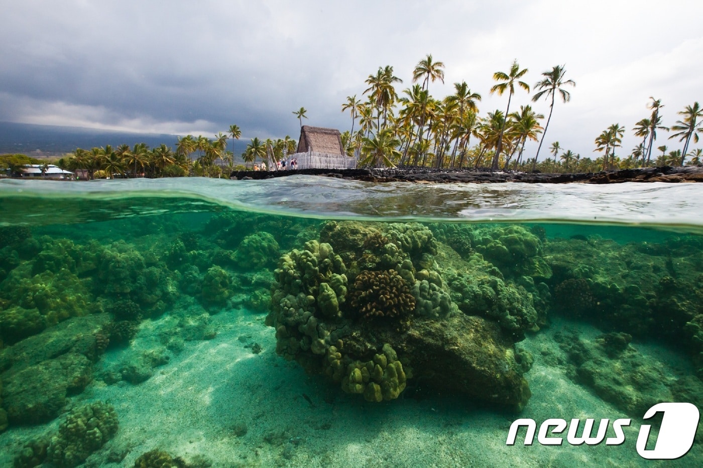 코나. 하와이관광청 제공.ⓒ News1