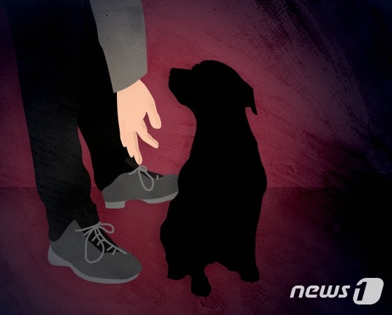 충북 옥천군이 동물장묘시설 등록 신청에 대해 동물화장시설이 건물 내 설치되지 않았다는 이유로 거부한 것은 부당하다고 법원이 판단했다. ⓒ News1 DB