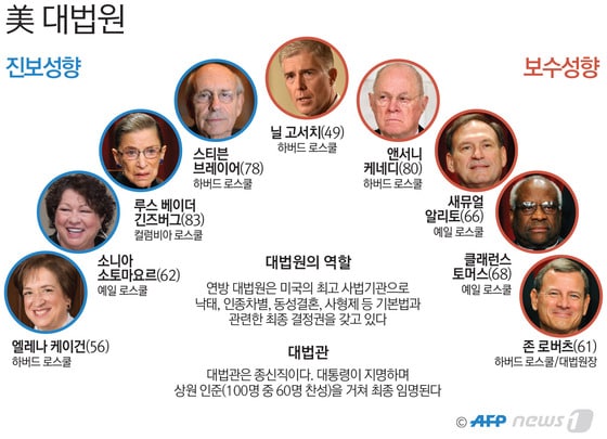 ⓒ News1 최진모 디자이너