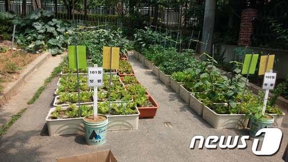 공동텃밭.ⓒ News1