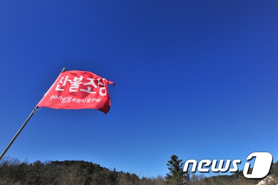 기사 이해를 돕기 위한 자료 사진으로 기사내용과 직접 관련 없음. ⓒ News1