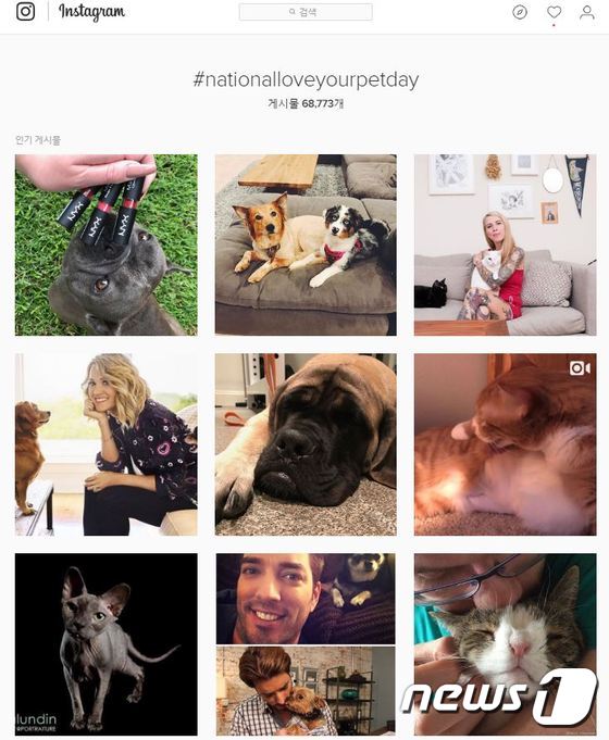 'national love your pet day' 해시태그로 올라온 반려견과 함께한 사진 모음 (출처 인스타그램 캡처)  ⓒ News1