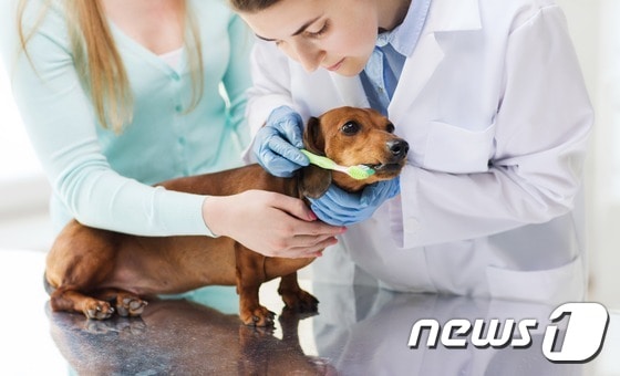 (사진 이미지투데이) ⓒ News1