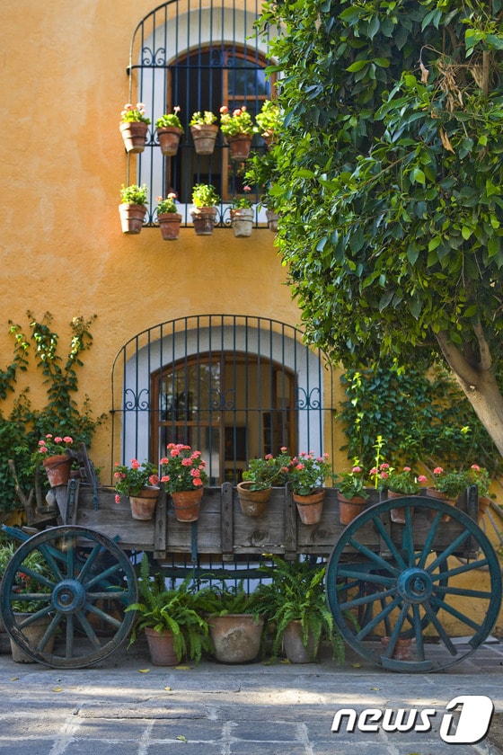 봄 분위기가 가득한 테키스키아판. 멕시코관광청 제공.ⓒ News1