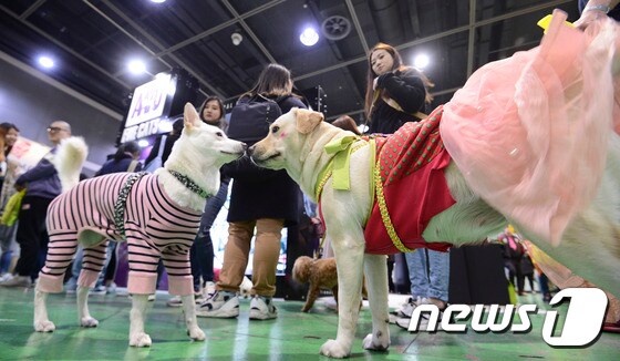 올해 초 서울 서초구 양재동 at센터에서 열린 코리아펫쇼에서 관람객들이 반려동물 용품을 살펴보고 있다./뉴스1 ⓒ News1 신웅수 기자