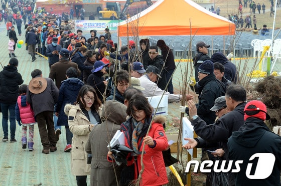 제주들불축제 '새 봄 새 희망 묘목 나눠주기' 행사. (뉴스1 DB) ⓒ 