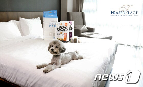 프레이저 플레이스 센트럴 호텔 제공ⓒ News1
