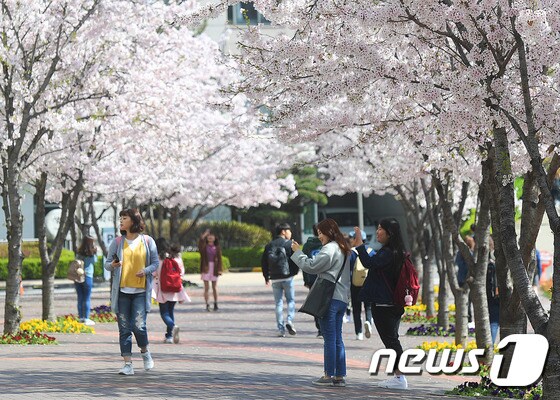 서울 광진구 건국대학교 캠퍼스. (건국대 제공) /뉴스1