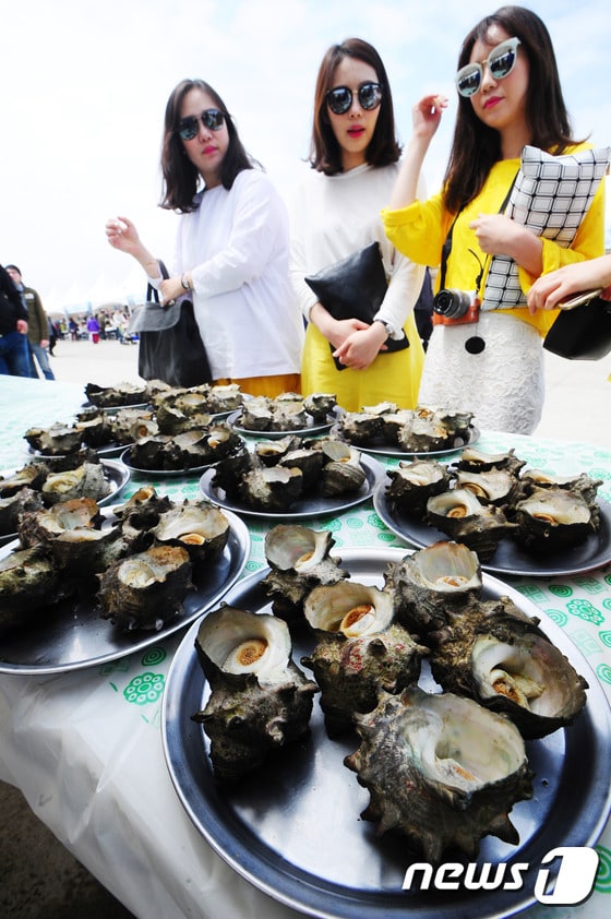 21일 제주시 우도에서 개막한 제9회 우도소라축제에서 관광객들이 소라 시식을 위해 소라를 고르고 있다.2017.4.21/뉴스1 ⓒ News1 이석형 기자
